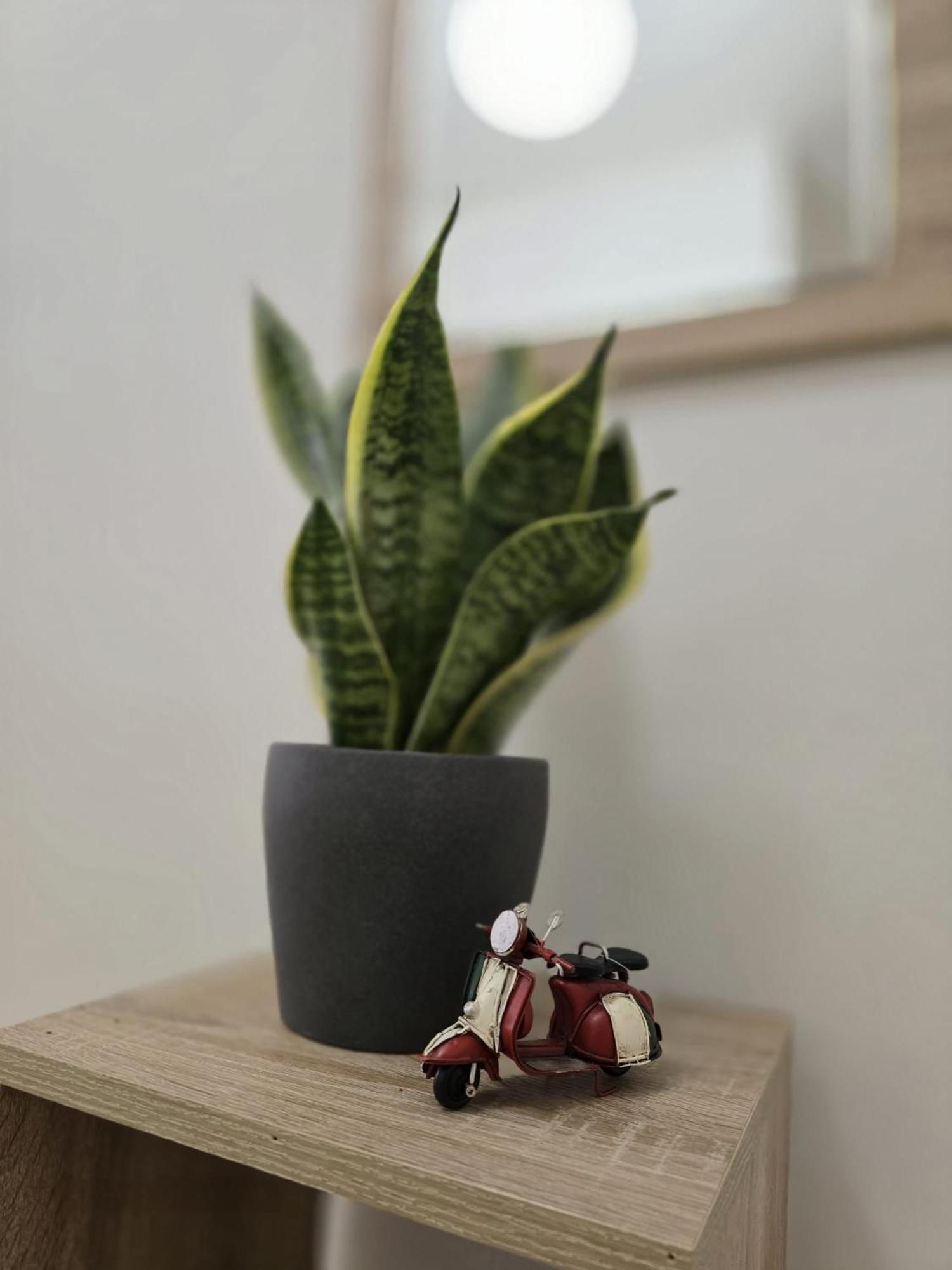 Aureum Loft Рим Екстериор снимка